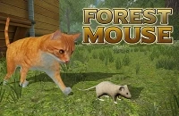 Forest Mouse