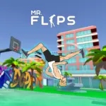 Mr Flip